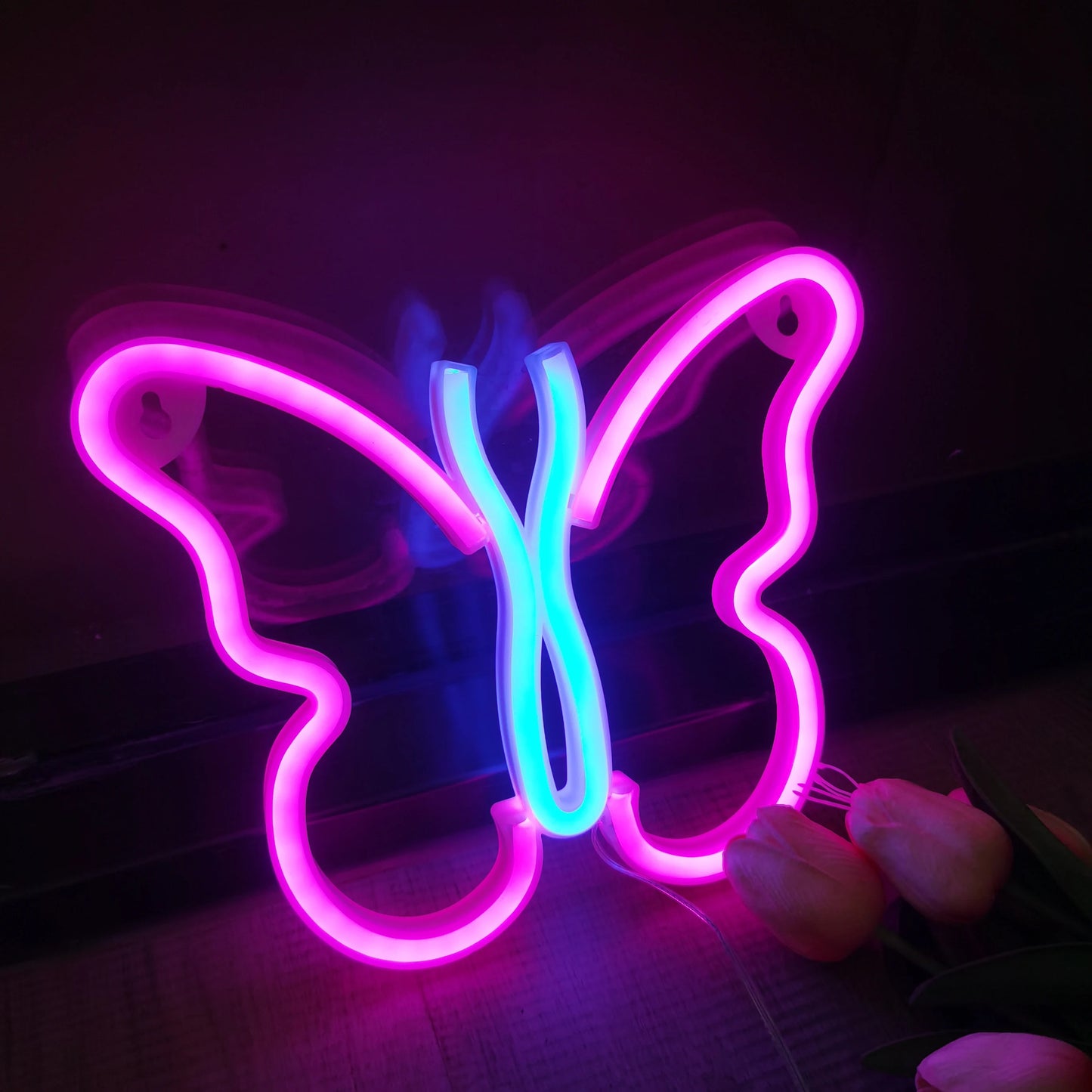Néon LED