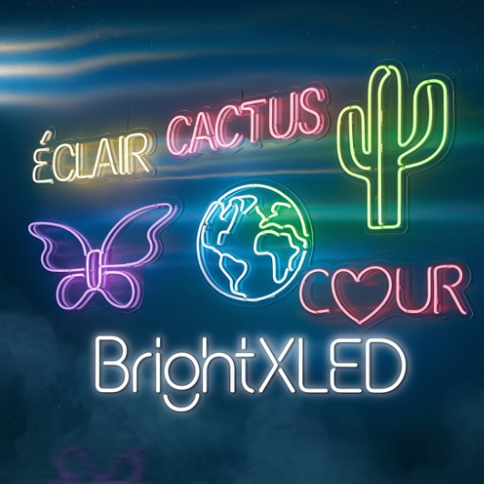 Néon LED